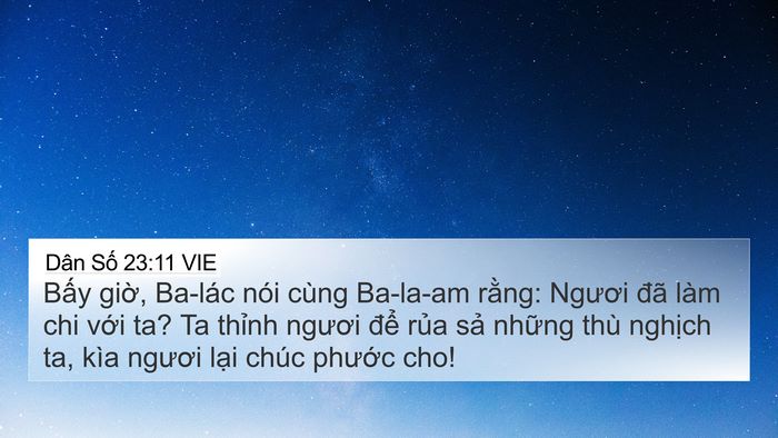 Dân Số 23:11 VIE Bible Verse Image