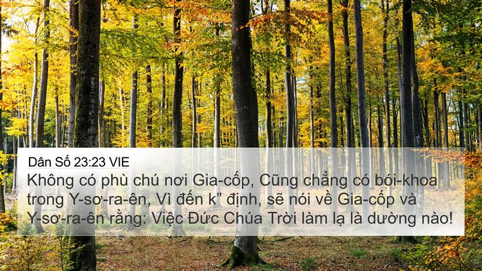 Dân Số 23:23 VIE Bible Verse Image