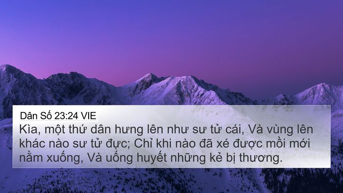Dân Số 23:24 VIE Bible Verse Image