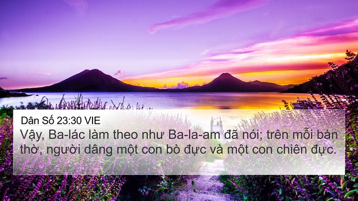 Dân Số 23:30 VIE Bible Verse Image