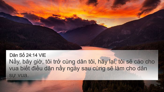 Dân Số 24:14 VIE Bible Verse Image