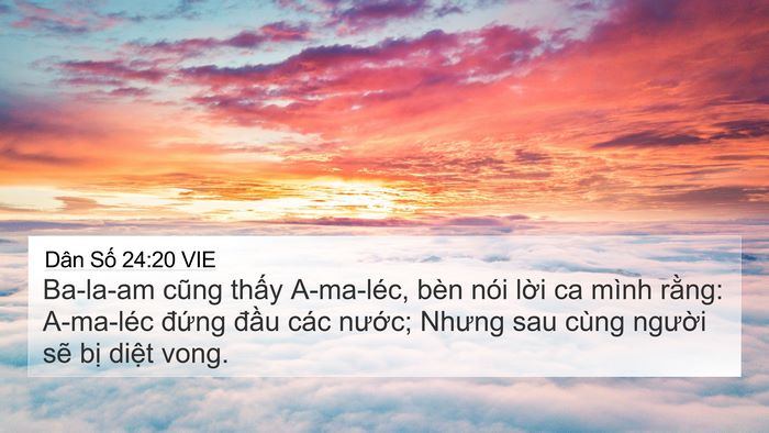 Dân Số 24:20 VIE Bible Verse Image