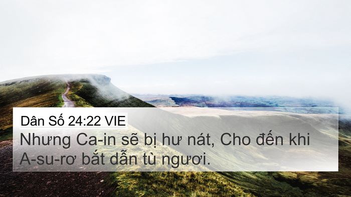 Dân Số 24:22 VIE 4K Wallpaper - Nhưng Ca-in sẽ bị hư nát, Cho đến khi - 4K Wallpaper Bible Verse