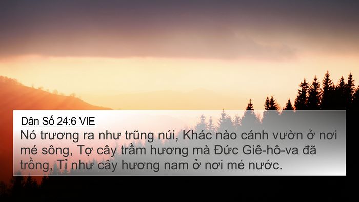 Dân Số 24:6 VIE 4K Wallpaper - Nó trương ra như trũng núi, Khác nào - 4K Wallpaper Bible Verse