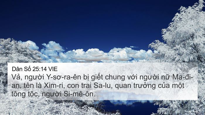 Dân Số 25:14 VIE Bible Verse Image