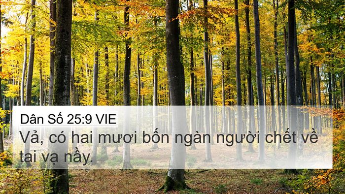 Dân Số 25:9 VIE Bible Verse Image