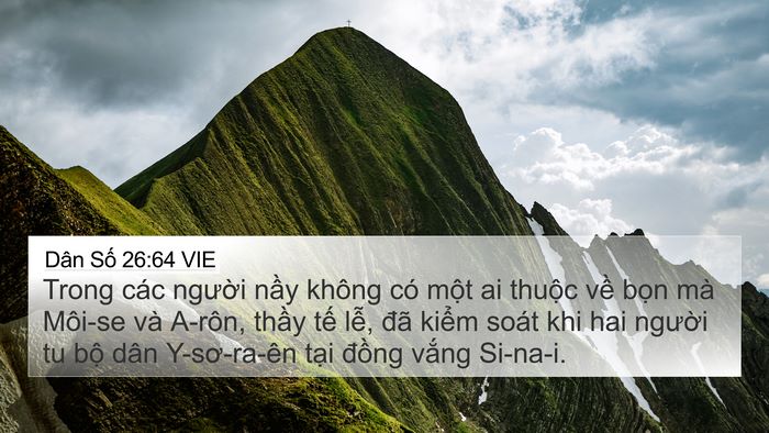 Dân Số 26:64 VIE Bible Verse Image