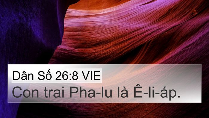 Dân Số 26:8 VIE 4K Wallpaper - Con trai Pha-lu là - 4K Wallpaper Bible Verse