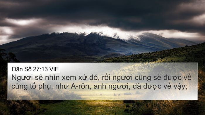 Dân Số 27:13 VIE Bible Verse Image
