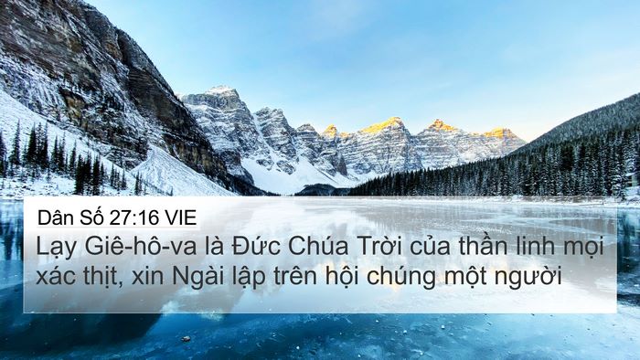 Dân Số 27:16 VIE Bible Verse Image