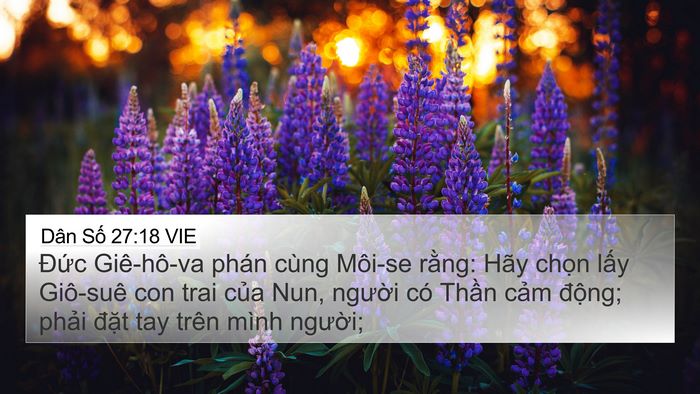Dân Số 27:18 VIE Bible Verse Image