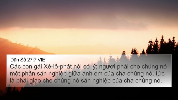 Dân Số 27:7 VIE Bible Verse Image