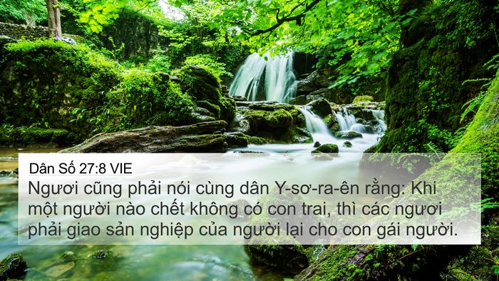 Dân Số 27:8 VIE 4K Wallpaper - Ngươi cũng phải nói cùng dân Y-sơ-ra-ên - 4K Wallpaper Bible Verse