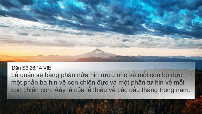 Dân Số 28:14 VIE Bible Verse Image
