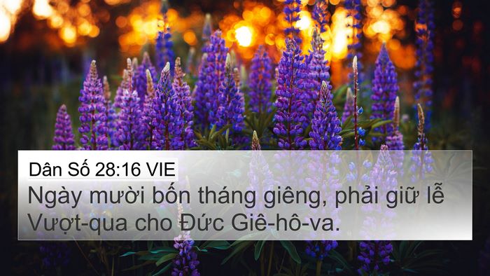Dân Số 28:16 VIE Bible Verse Image