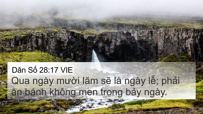 Dân Số 28:17 VIE Bible Verse Image