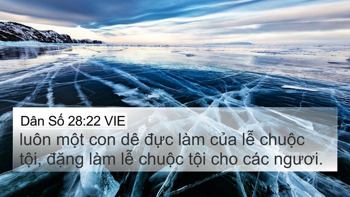 Dân Số 28:22 VIE 4K Wallpaper - luôn một con dê đực làm của lễ - 4K Wallpaper Bible Verse
