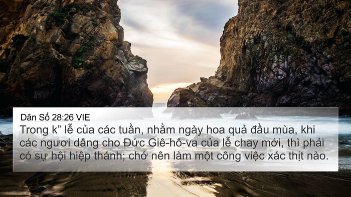 Dân Số 28:26 VIE 4K Wallpaper - Trong k” lễ của các tuần, nhằm ngày - 4K Wallpaper Bible Verse