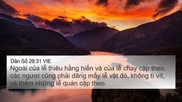 Dân Số 28:31 VIE 4K Wallpaper - Ngoài của lễ thiêu hằng hiến và của - 4K Wallpaper Bible Verse