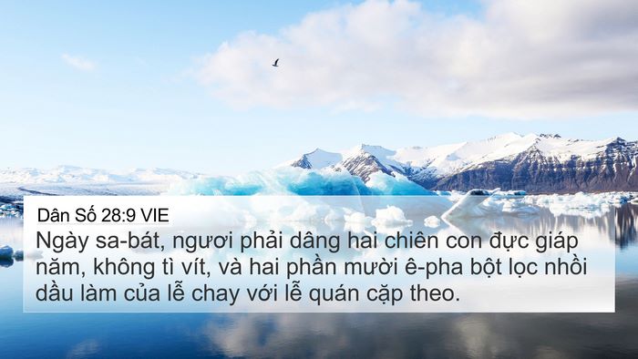 Dân Số 28:9 VIE Bible Verse Image