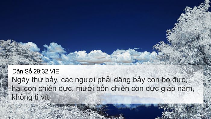 Dân Số 29:32 VIE 4K Wallpaper - Ngày thứ bảy, các ngươi phải dâng - 4K Wallpaper Bible Verse