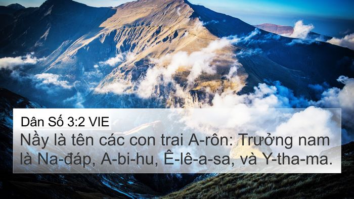 Dân Số 3:2 VIE Bible Verse Image