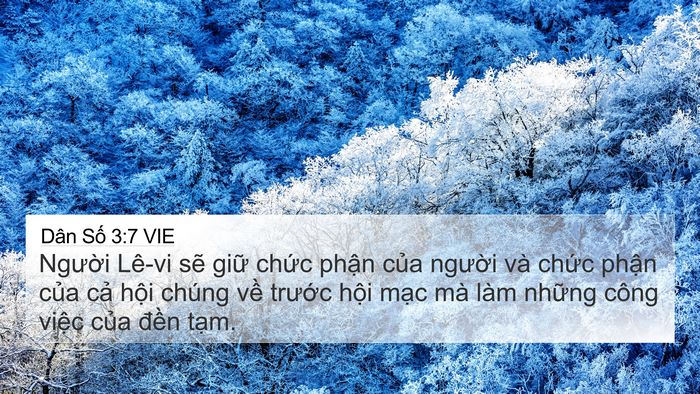 Dân Số 3:7 VIE Bible Verse Image