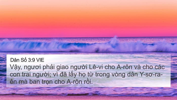 Dân Số 3:9 VIE 4K Wallpaper - Vậy, ngươi phải giao người Lê-vi cho - 4K Wallpaper Bible Verse