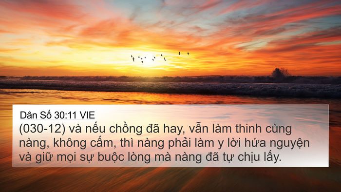 Dân Số 30:11 VIE 4K Wallpaper - (030-12) và nếu chồng đã hay, vẫn làm - 4K Wallpaper Bible Verse