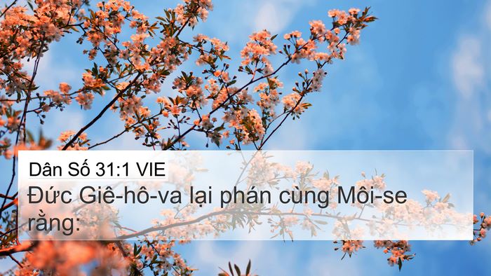Dân Số 31:1 VIE 4K Wallpaper - Đức Giê-hô-va lại phán cùng Môi-se - 4K Wallpaper Bible Verse