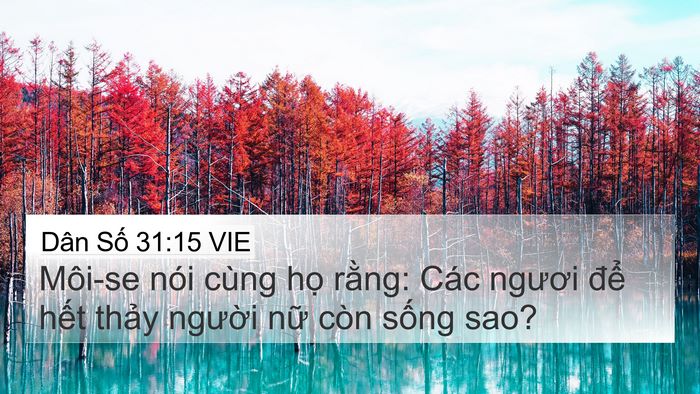 Dân Số 31:15 VIE Bible Verse Image