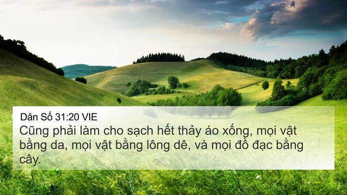 Dân Số 31:20 VIE Bible Verse Image