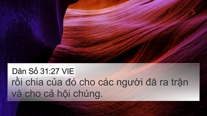 Dân Số 31:27 VIE Bible Verse Image