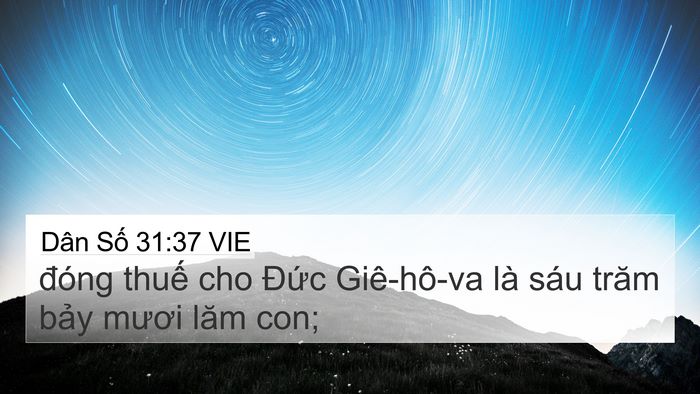 Dân Số 31:37 VIE 4K Wallpaper - đóng thuế cho Đức Giê-hô-va là sáu - 4K Wallpaper Bible Verse