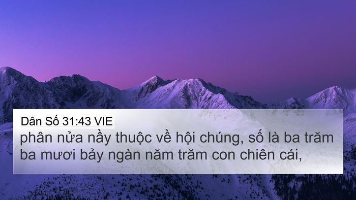 Dân Số 31:43 VIE 4K Wallpaper - phân nửa nầy thuộc về hội chúng, số - 4K Wallpaper Bible Verse