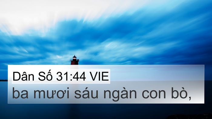 Dân Số 31:44 VIE 4K Wallpaper - ba mươi sáu ngàn con - 4K Wallpaper Bible Verse