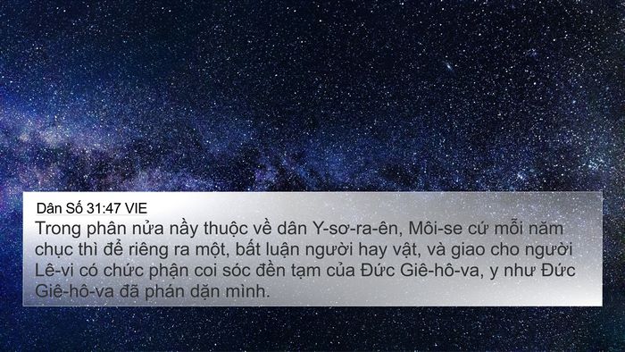 Dân Số 31:47 VIE 4K Wallpaper - Trong phân nửa nầy thuộc về dân - 4K Wallpaper Bible Verse