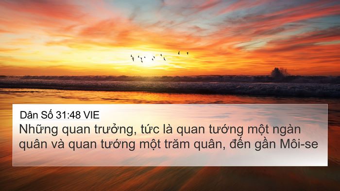 Dân Số 31:48 VIE 4K Wallpaper - Những quan trưởng, tức là quan tướng - 4K Wallpaper Bible Verse