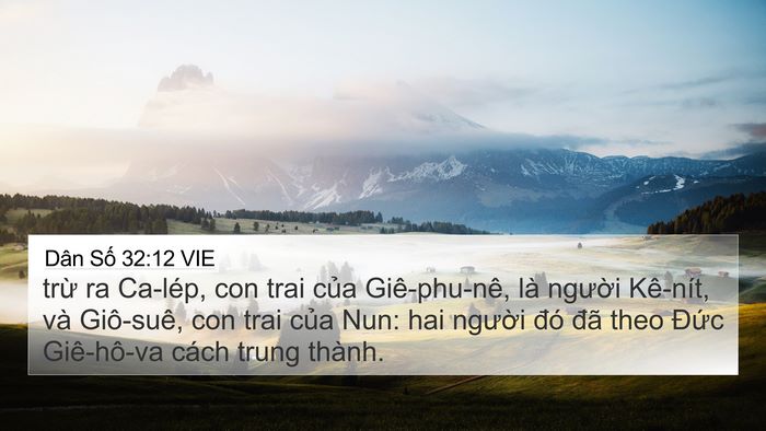 Dân Số 32:12 VIE Bible Verse Image