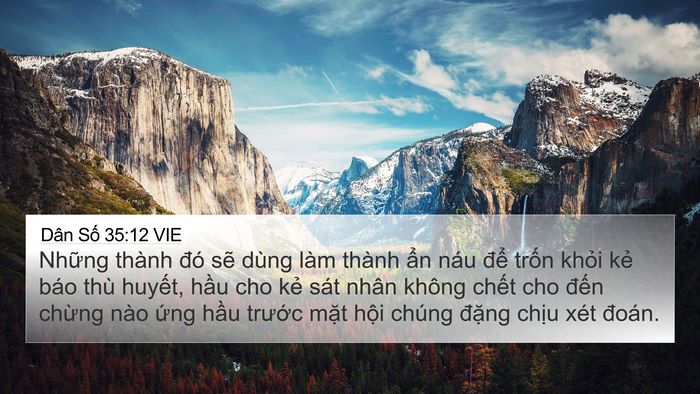 Dân Số 35:12 VIE Bible Verse Image