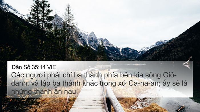Dân Số 35:14 VIE Bible Verse Image