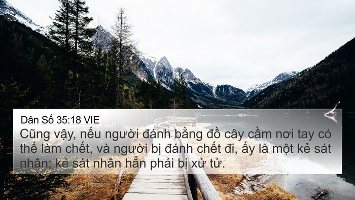 Dân Số 35:18 VIE 4K Wallpaper - Cũng vậy, nếu người đánh bằng đồ - 4K Wallpaper Bible Verse