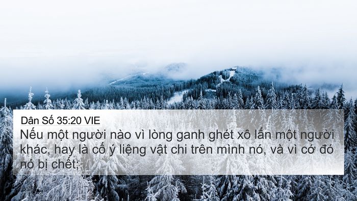 Dân Số 35:20 VIE 4K Wallpaper - Nếu một người nào vì lòng ganh ghét - 4K Wallpaper Bible Verse