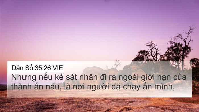 Dân Số 35:26 VIE 4K Wallpaper - Nhưng nếu kẻ sát nhân đi ra ngoài giới - 4K Wallpaper Bible Verse