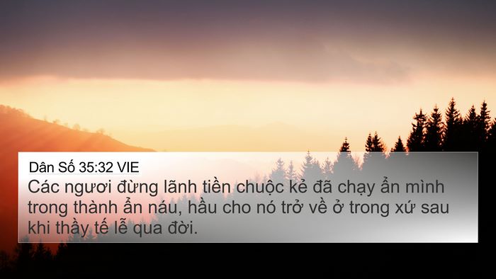 Dân Số 35:32 VIE 4K Wallpaper - Các ngươi đừng lãnh tiền chuộc kẻ - 4K Wallpaper Bible Verse