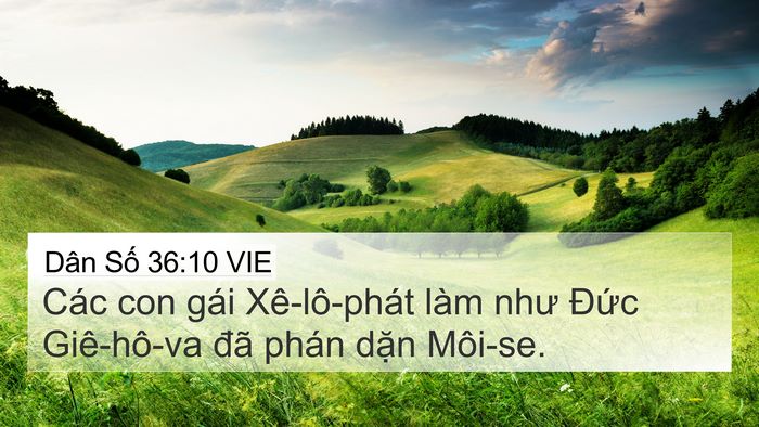 Dân Số 36:10 VIE Bible Verse Image