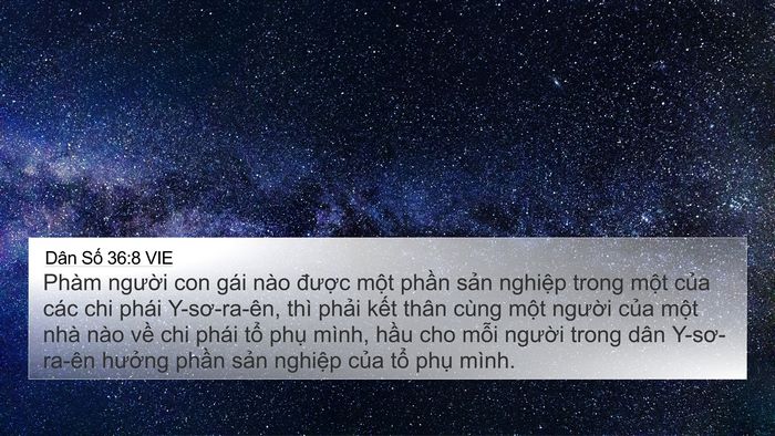 Dân Số 36:8 VIE Bible Verse Image