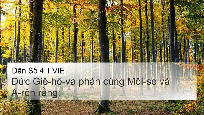 Dân Số 4:1 VIE Bible Verse Image
