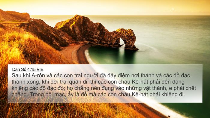 Dân Số 4:15 VIE Bible Verse Image
