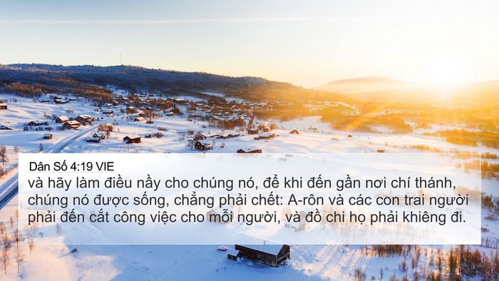 Dân Số 4:19 VIE Bible Verse Image